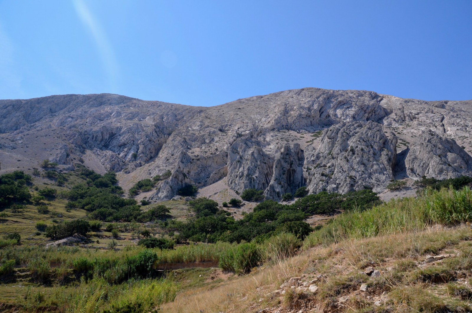 skale