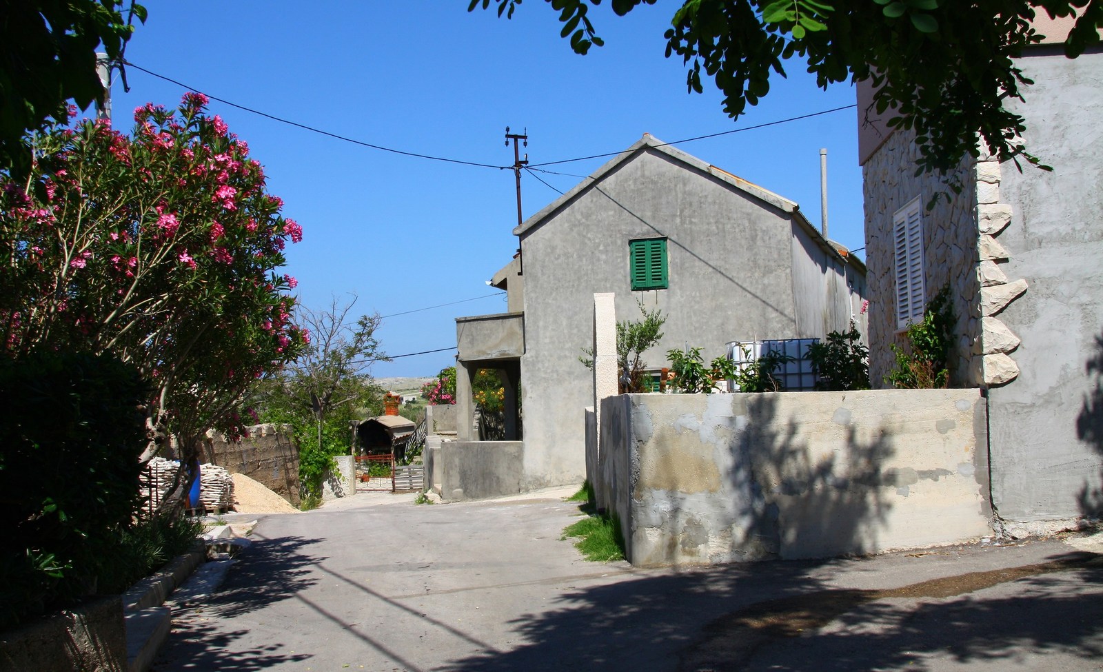 vlašići