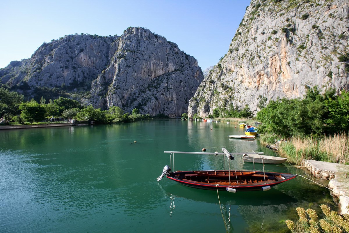colnici_omis