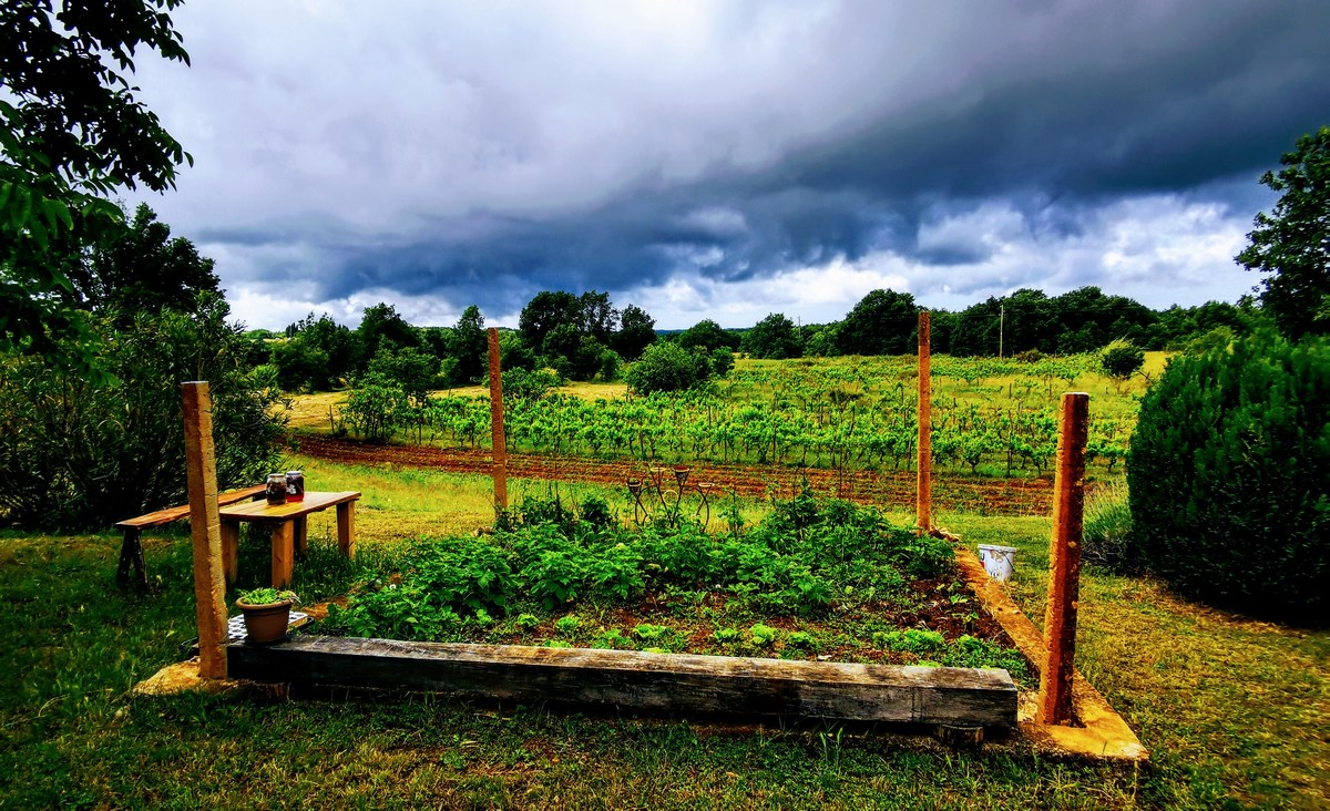 Majhen vrtiček pred hišo