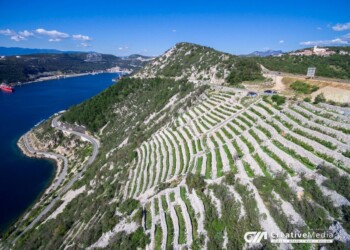 Praputnjak, deset zanimivosti