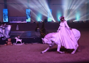 Kobilarna Đakovo, lipicanci v Đakovu