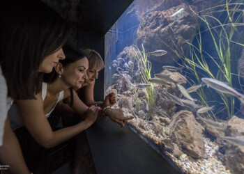 Aquatika, sladkovodni akvarij v Karlovcu