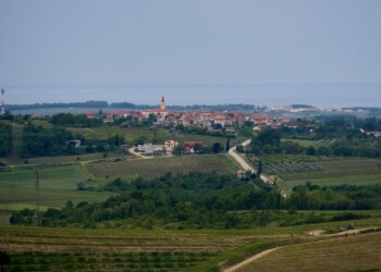 Brtonigla; spoj morja in zaledja