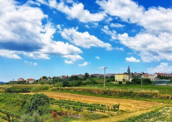 Lov na tartufe, Vrh v Istri