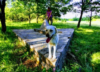 Geografsko središče Istre je blizu Pazina