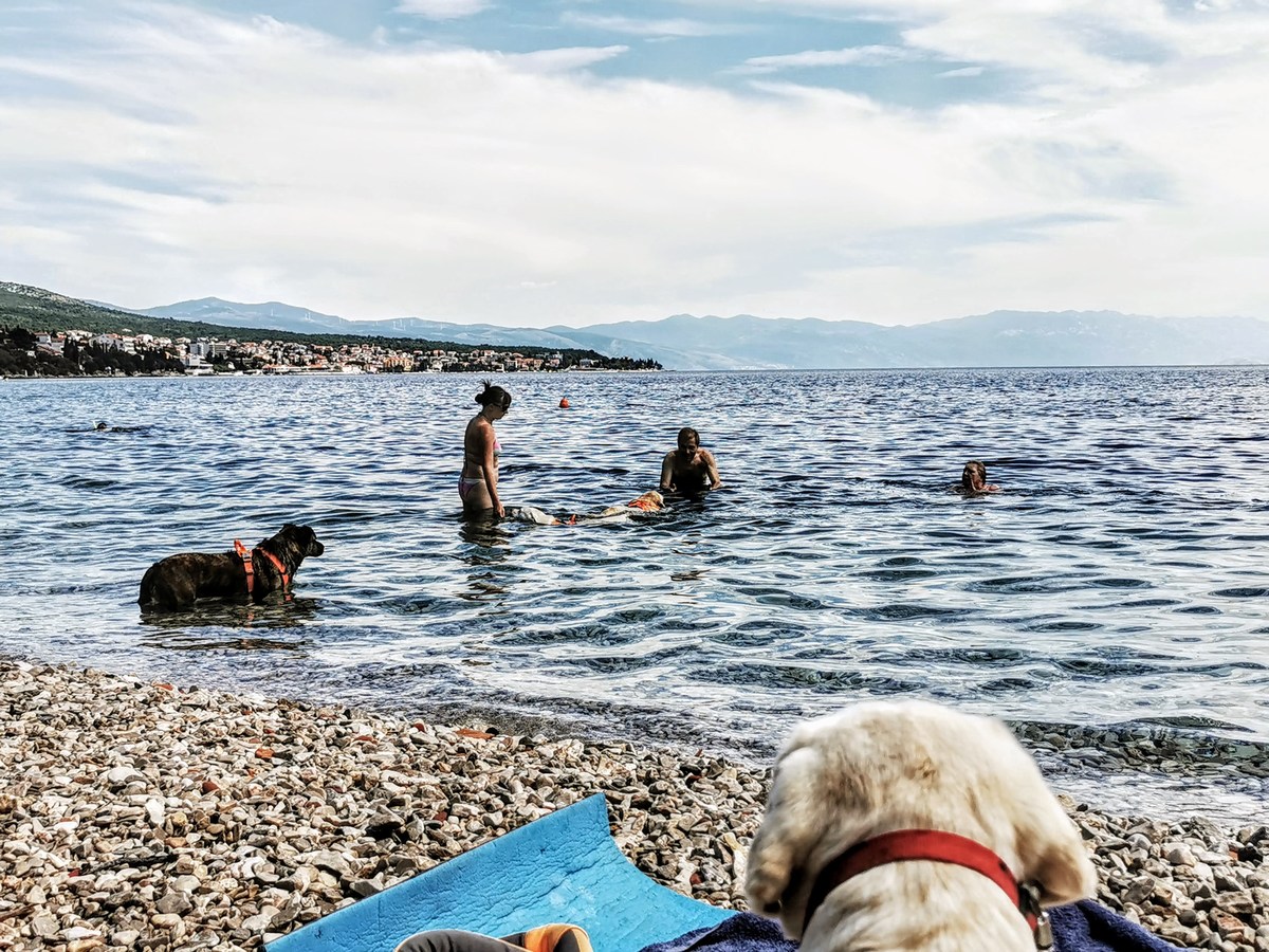 Monty's Dog Beach & Bar 16, foto www.pag.si