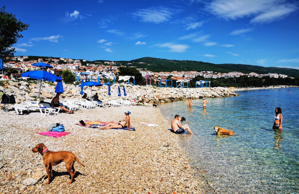 Monty's Dog Beach & Bar 32, foto www.pag.si