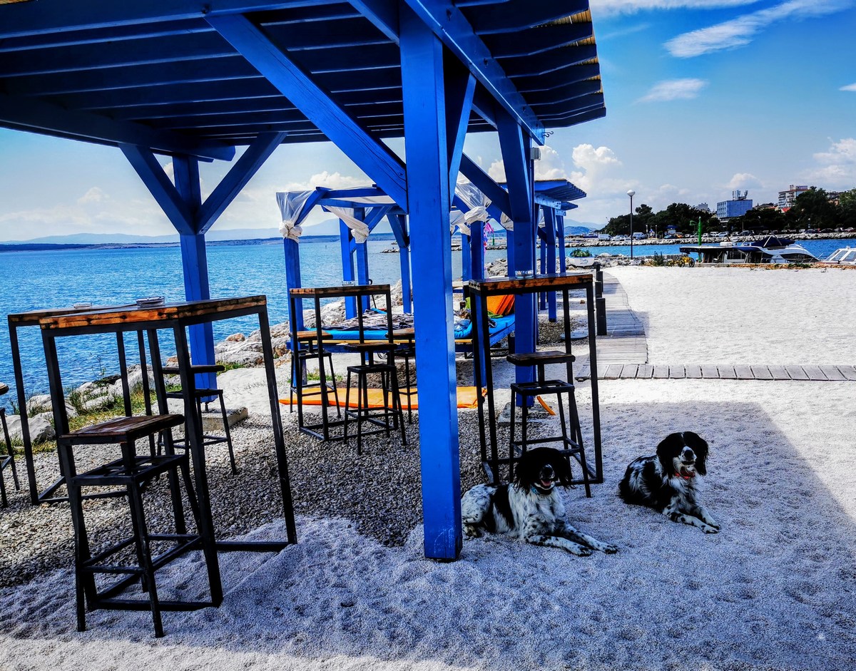 Monty's Dog Beach & Bar 7, foto www.pag.si