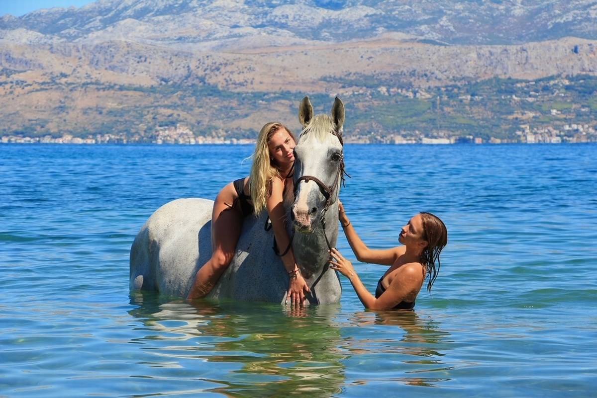 Brač, kopanje s konji 1, foto ranč Wild Brač