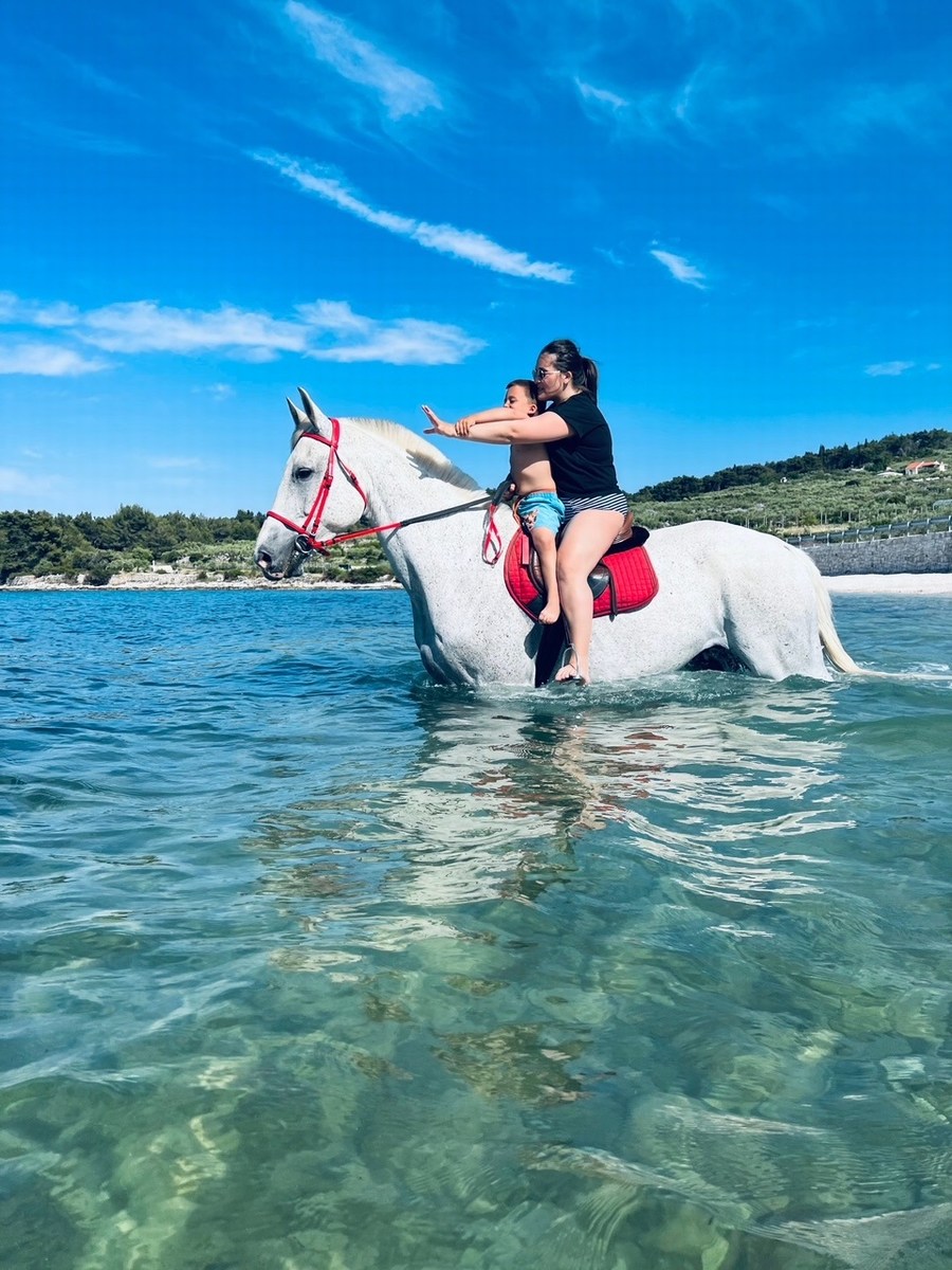 Brač, kopanje s konji 14, foto ranč Wild Brač