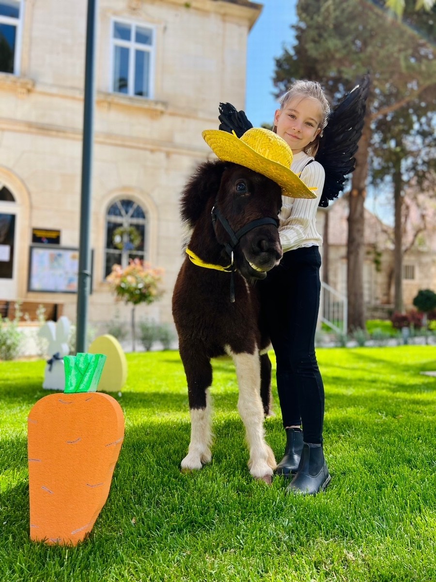 Brač, kopanje s konji 2, foto ranč Wild Brač