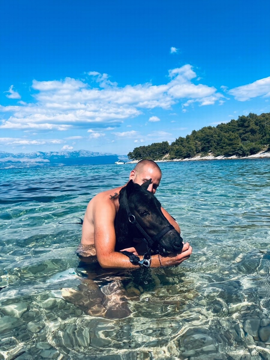 Brač, kopanje s konji 4, foto ranč Wild Brač