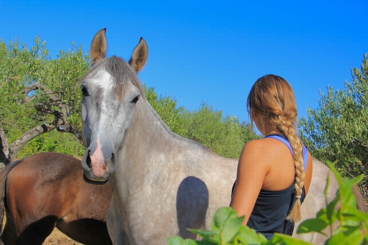 Brač, kopanje s konji 7, foto ranč Wild Brač