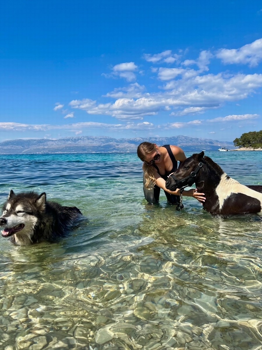 Brač, kopanje s konji 8, foto ranč Wild Brač