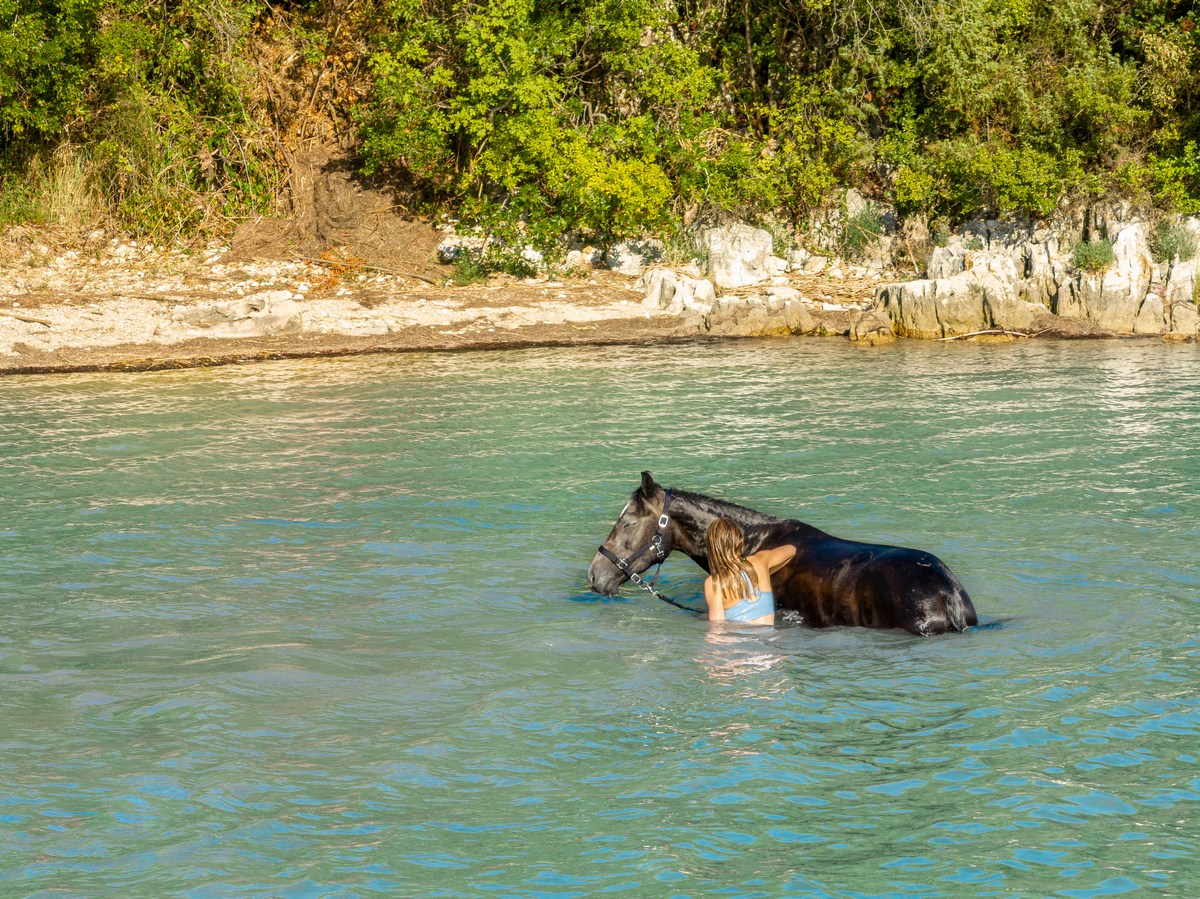 Istra, kopanje s konji 8, foto Ranch Marconi