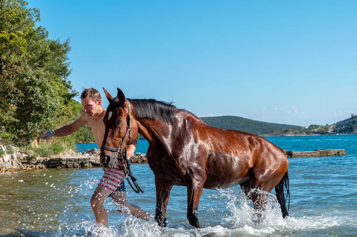 Istra, kopanje s konji 9, foto Ranch Marconi