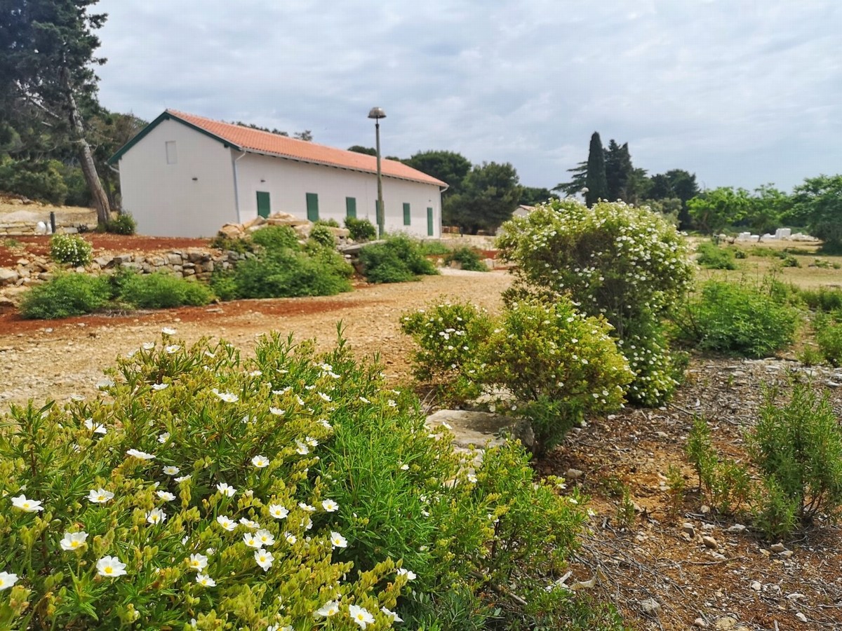 Mali Brion 19, preurejene vojaške splnice, foto Barbara Ban