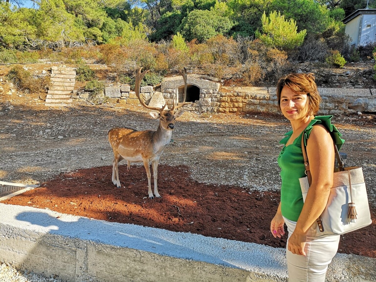 Mali Brion 2, fotografiranje z Jelenkom, foto Barbara Ban