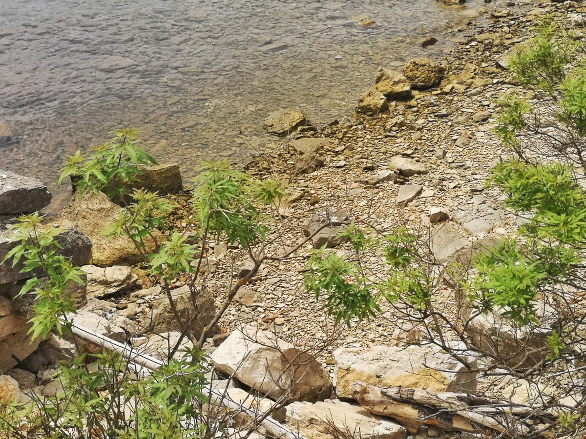 Mali Brion 22, detajl, foto Barbara Ban