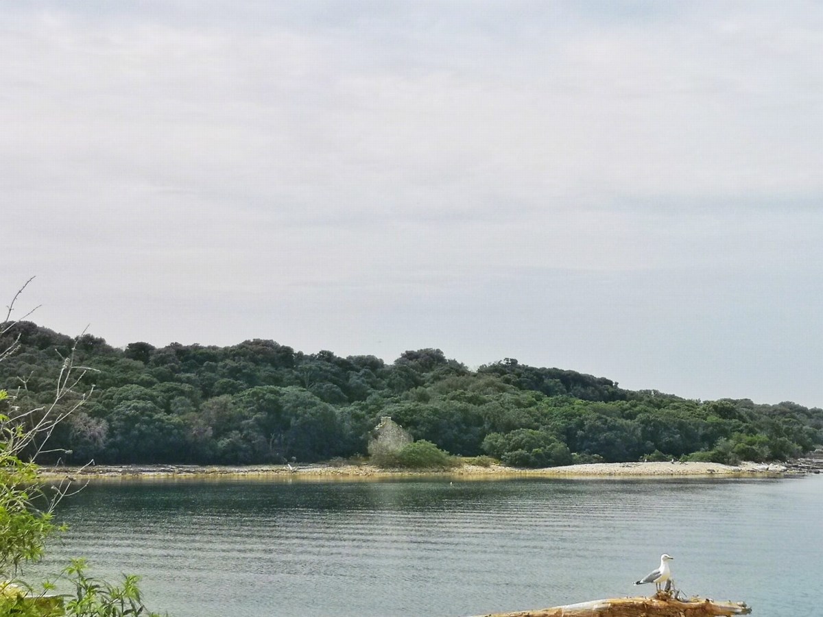 Mali Brion 5, ostanki srednjeveške delavnice, foto Barbara Ban