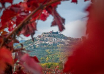 Teran Wine & Walk v Motovunu