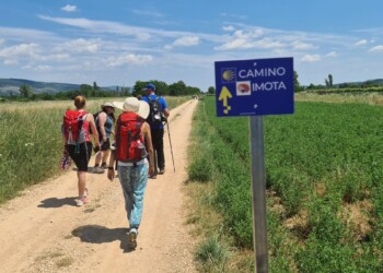 Camino Imota