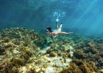 Istra Snorkeling