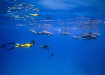 Top 10 turističnih destinacij na Hrvaškem