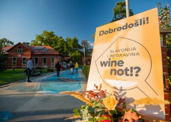 WINE NOT!? – prav poseben festival vina
