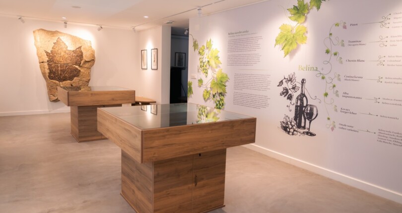 Radoboj, majhen veliki kraj