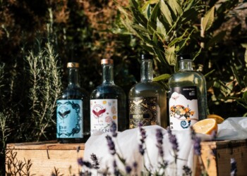 Beyond Mura Distillery: »obarvani džini«