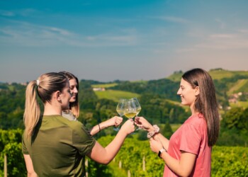 Martinovanje v Medžimurju