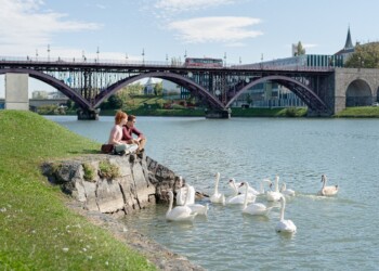 Maribor, dom najstarejše trte na svetu