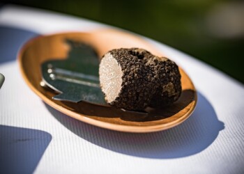 Turopolje – v raju črnih tartufov