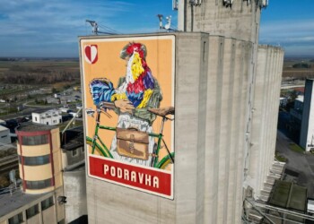 Podravka ima novega petelina