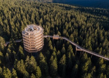 Pot med krošnjami Pohorje