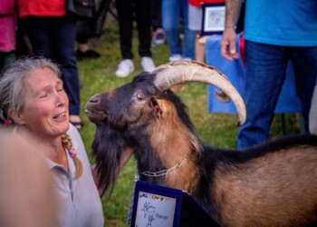 Istriago.Net: Top 10 istrskih konob