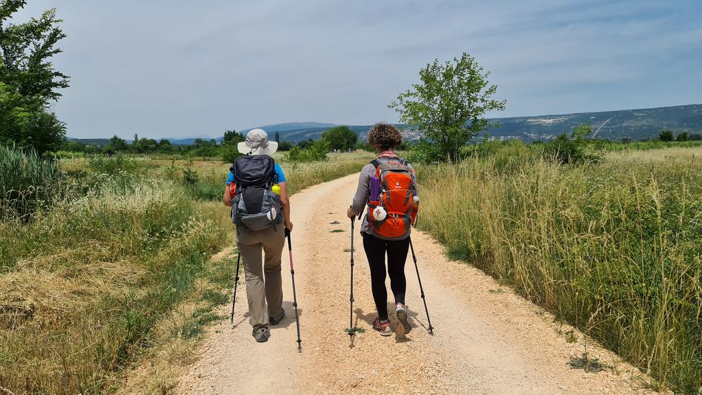 Adria Camino Festival