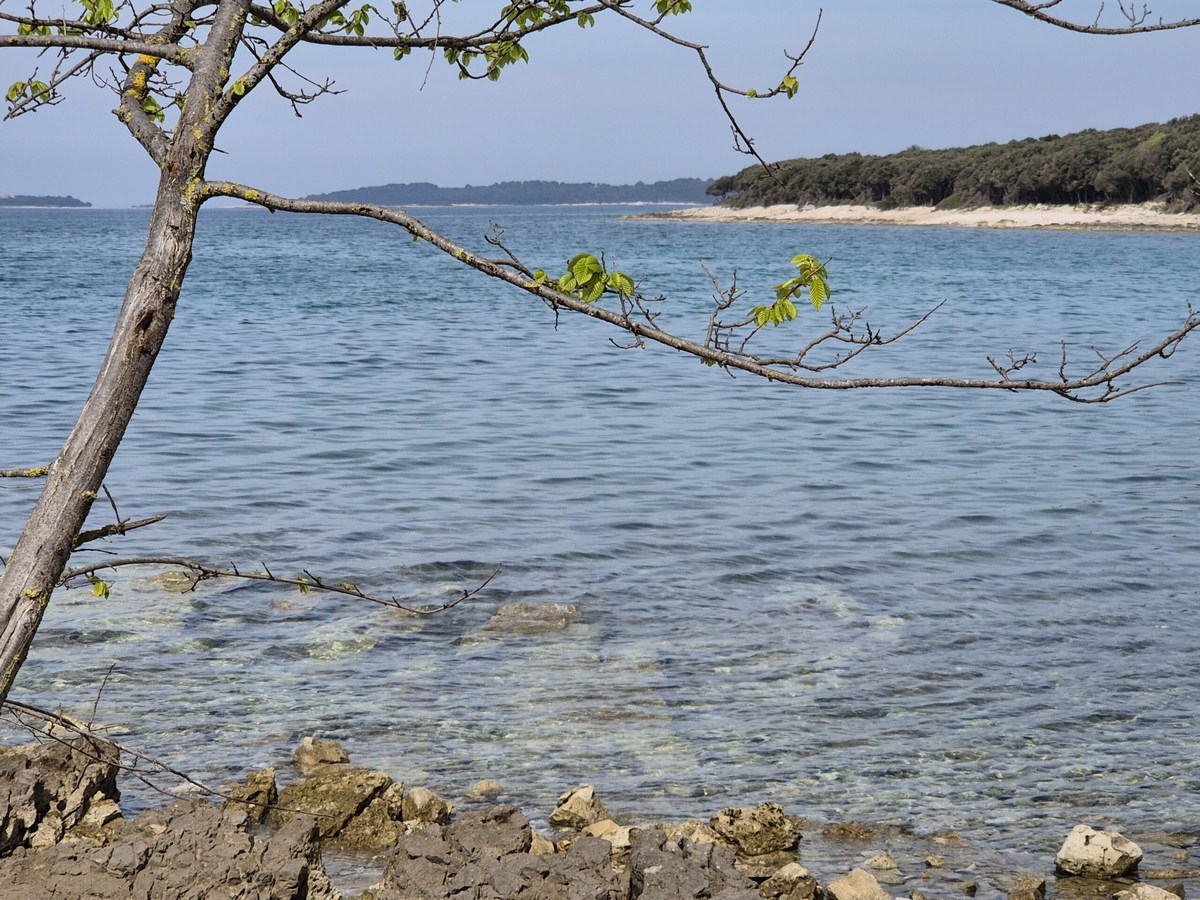 5, Uvala Cisterna kod Rovinja