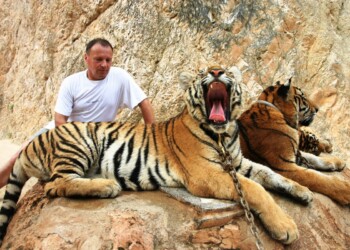 Miro Štebe: »Povsod sem srečal dobre ljudi«