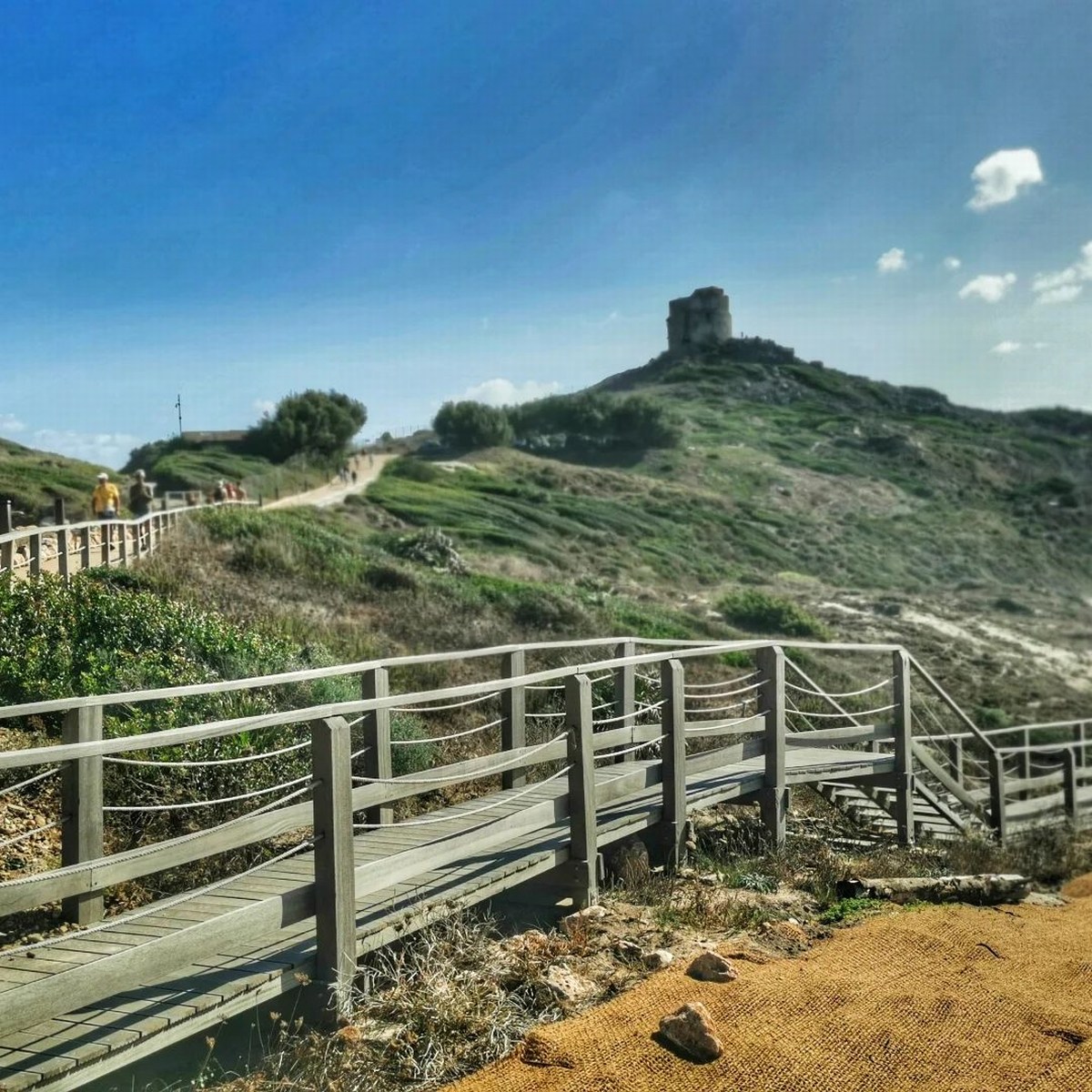 Tharros 67
