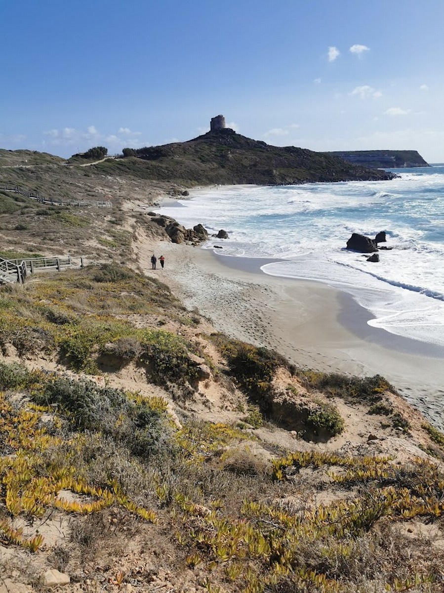 Tharros 71
