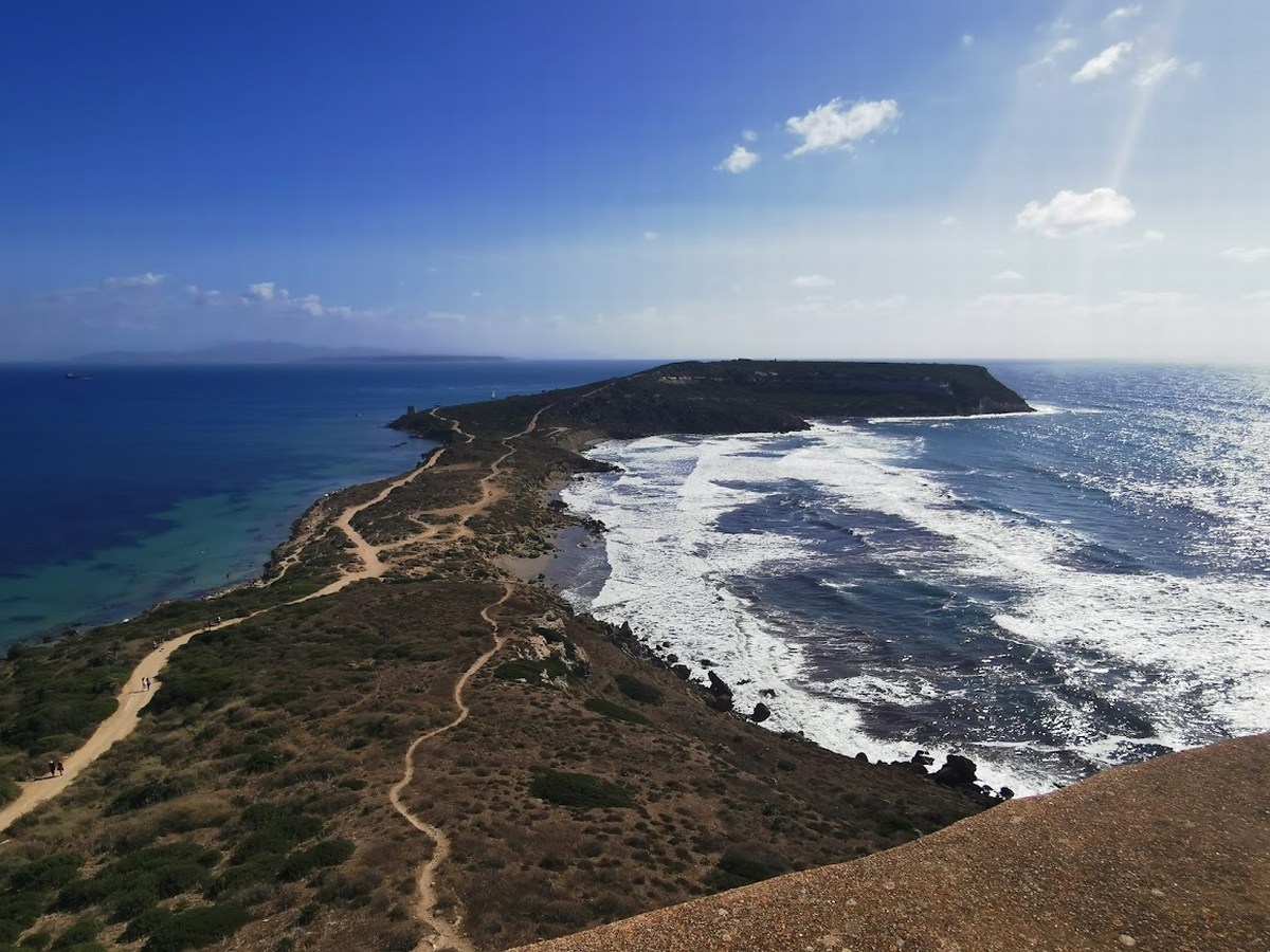 Tharros 72